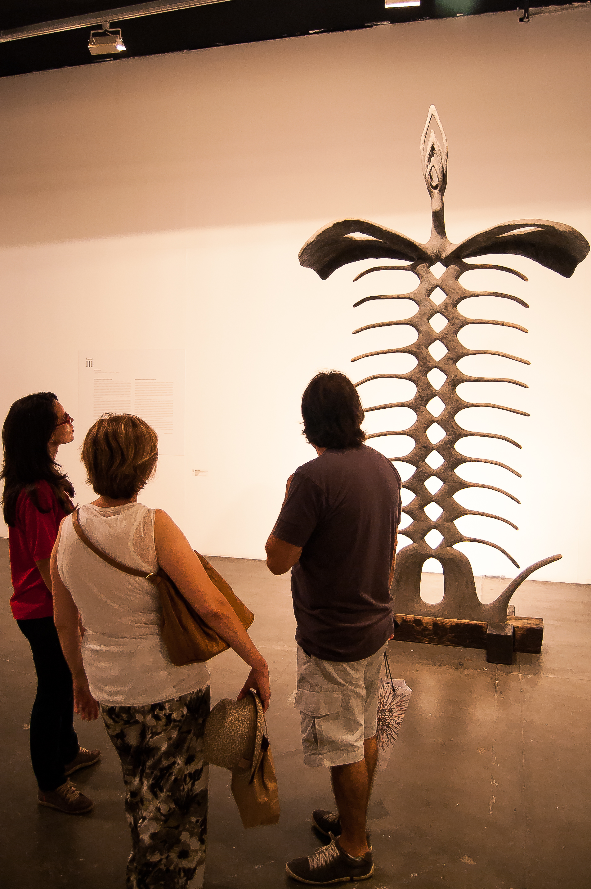 20121124 13 43 59 Giro SP-56